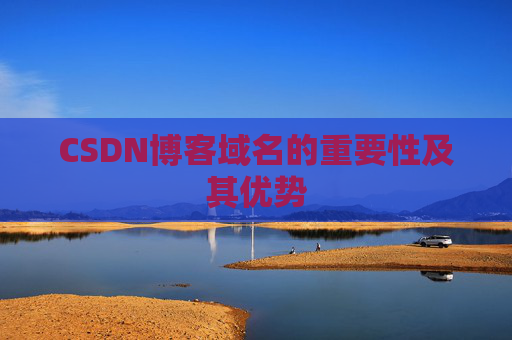 CSDN博客域名的重要性及其优势